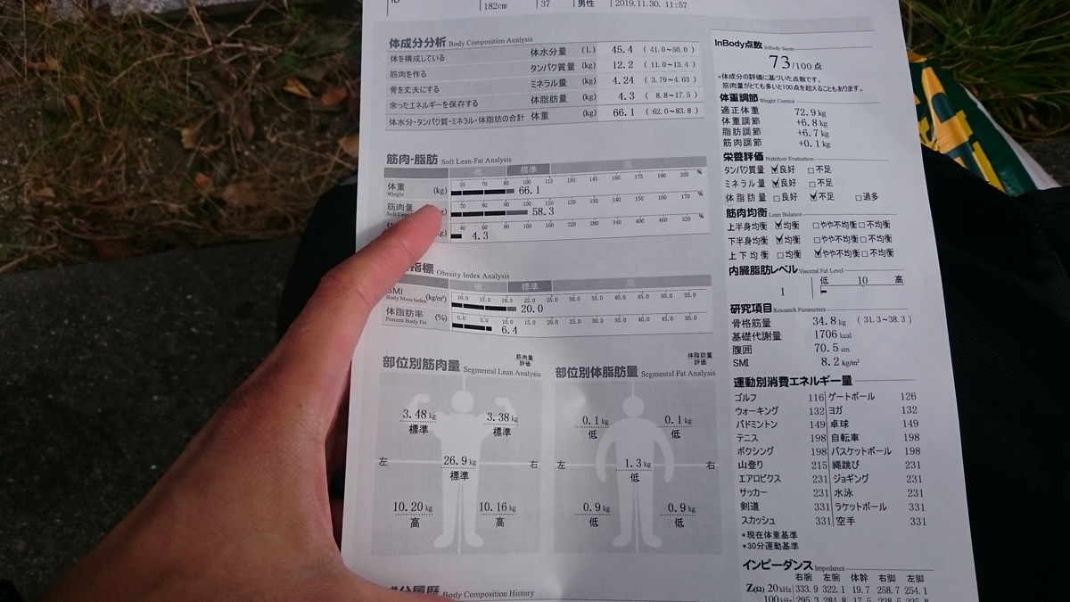 f:id:savarun:20191204211731j:plain