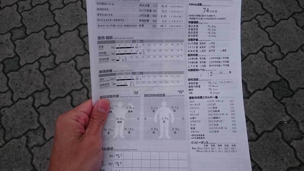 f:id:savarun:20191207200905j:plain