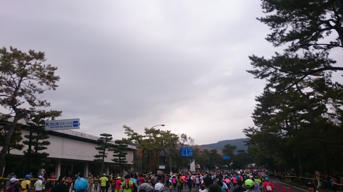 f:id:savarun:20191209234753j:plain
