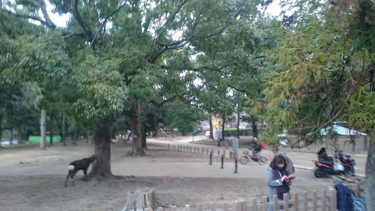 f:id:savarun:20191209234823j:plain