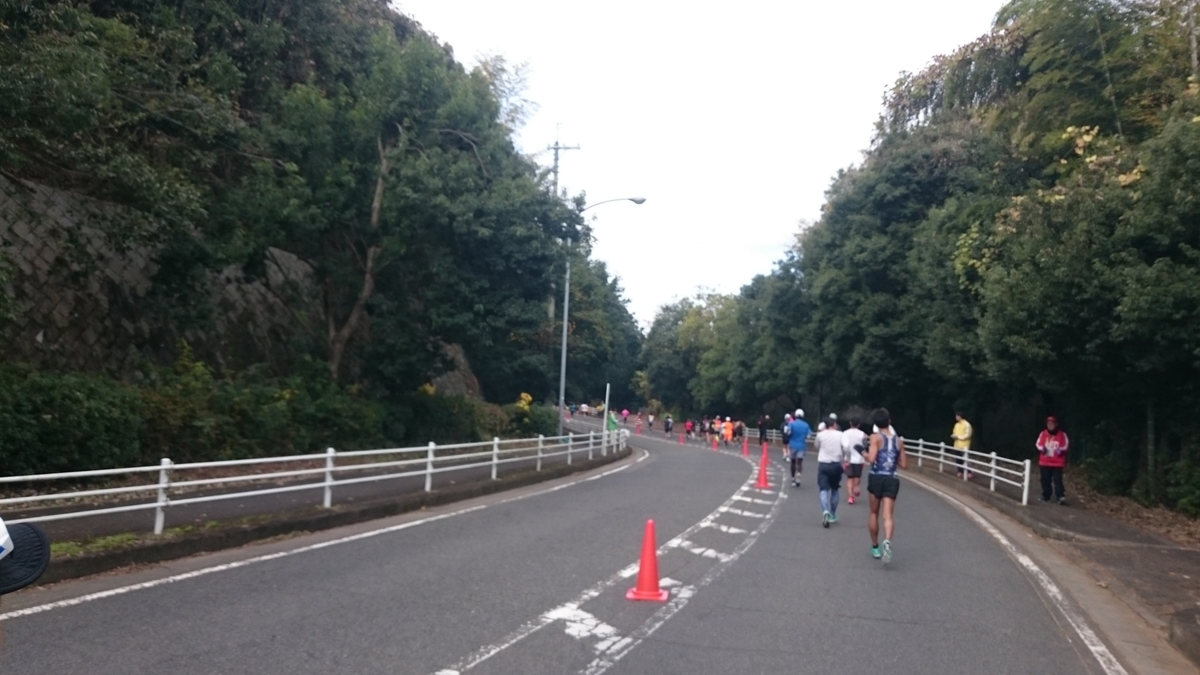 f:id:savarun:20191211210756j:plain