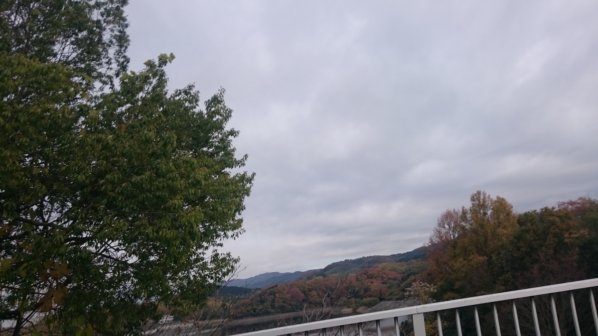 f:id:savarun:20191211210820j:plain