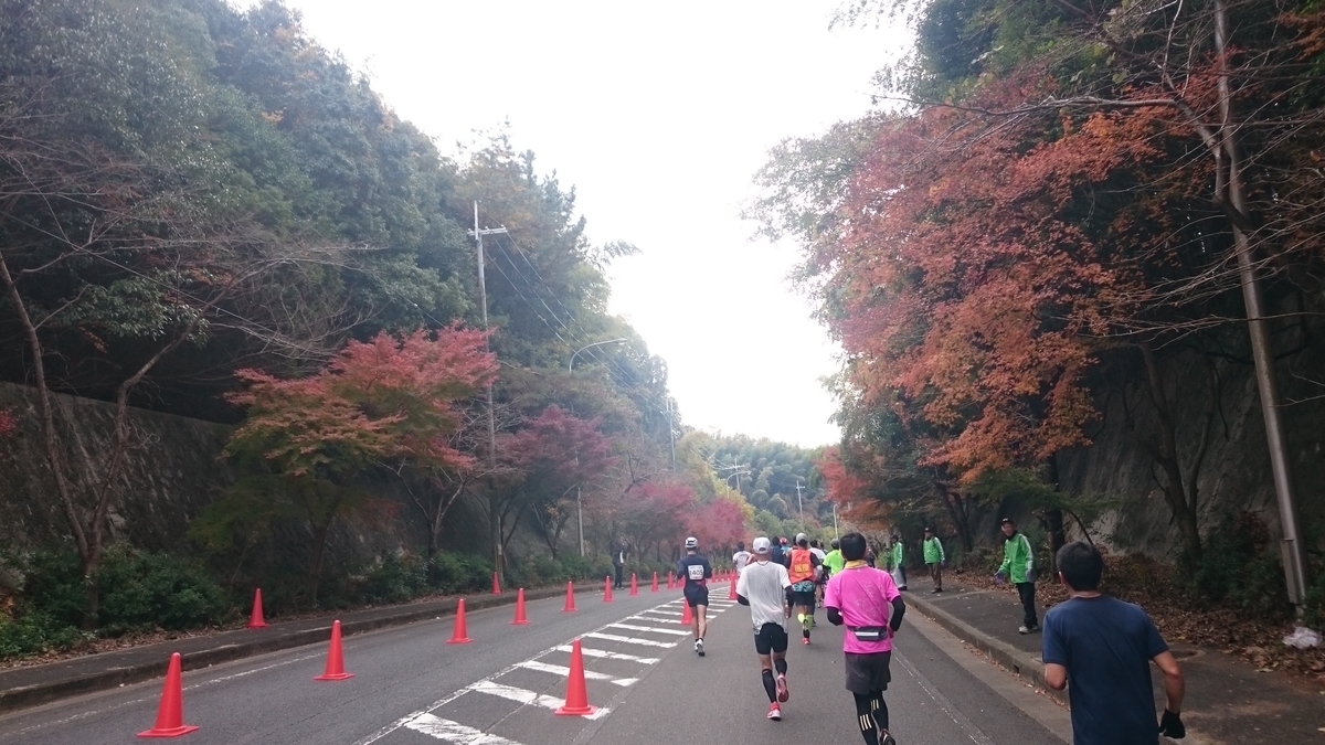 f:id:savarun:20191211211024j:plain