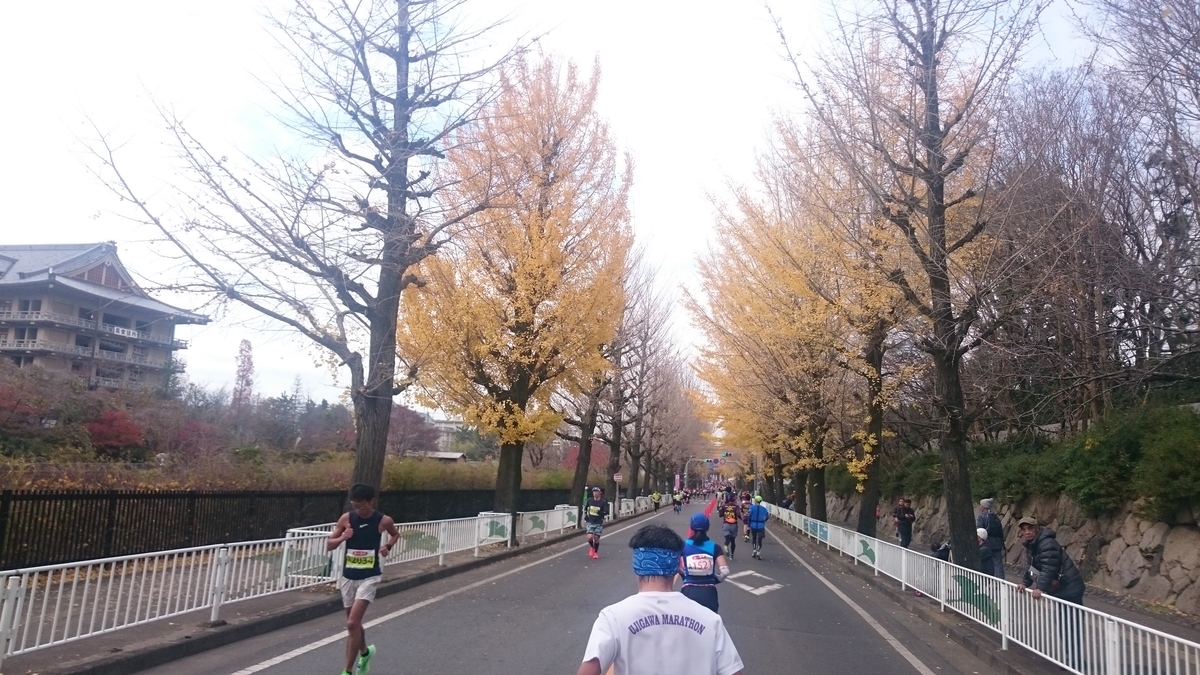 f:id:savarun:20191211211138j:plain