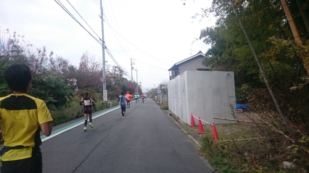f:id:savarun:20191211211546j:plain