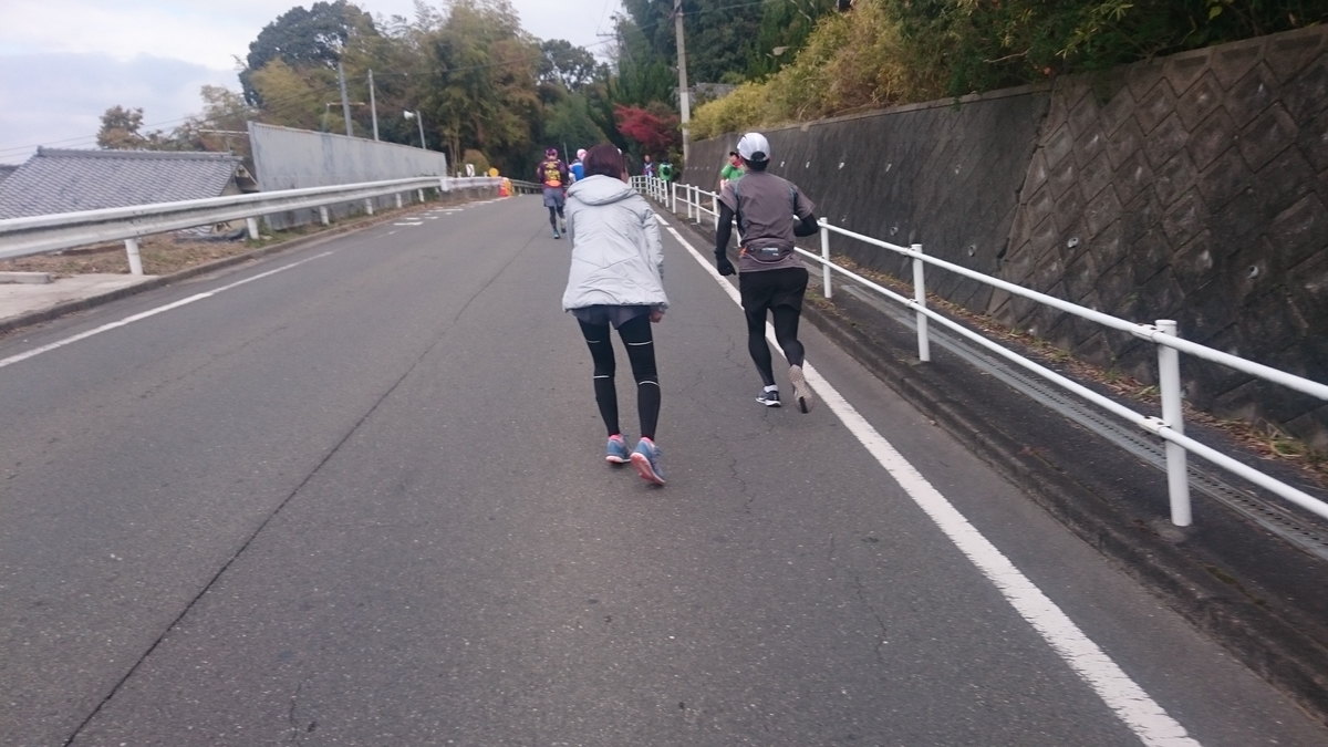f:id:savarun:20191211211602j:plain