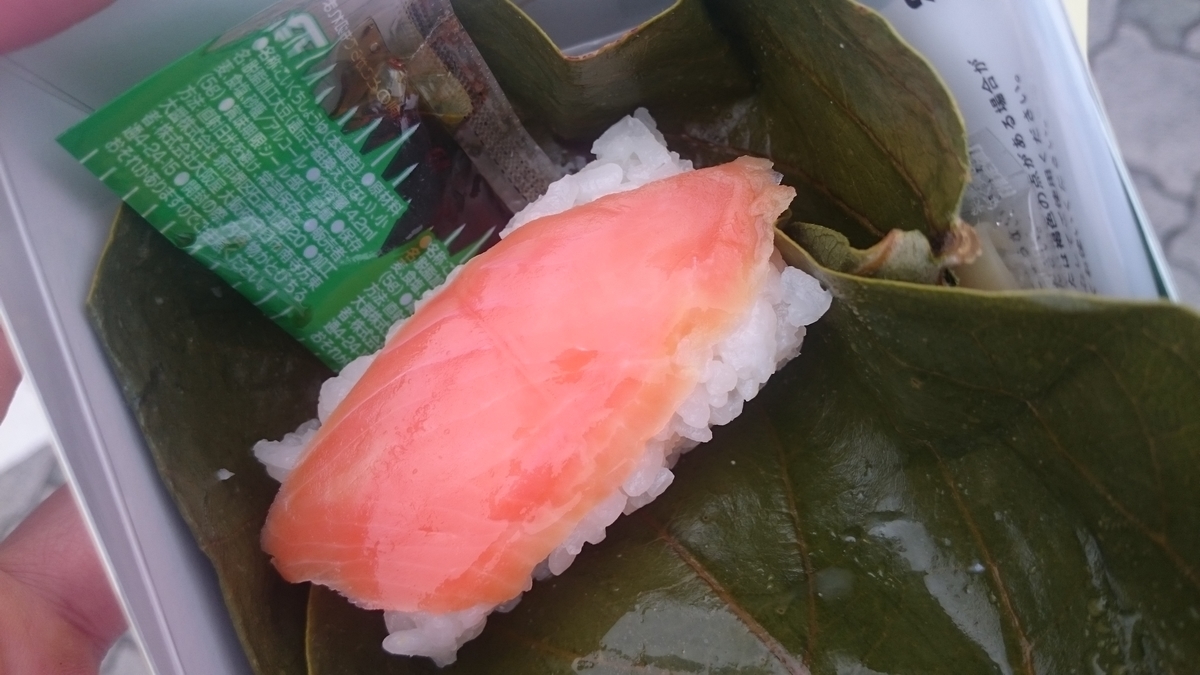 f:id:savarun:20191211211821j:plain