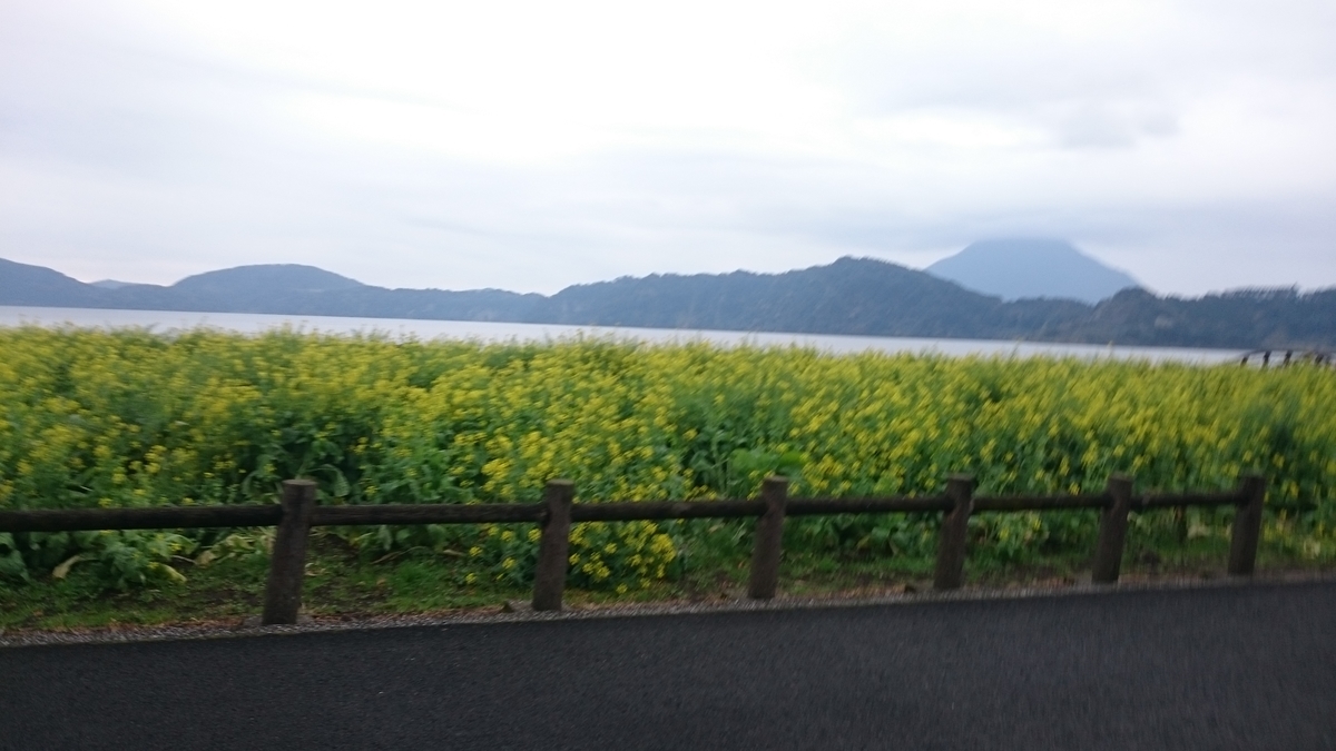 f:id:savarun:20200113214624j:plain