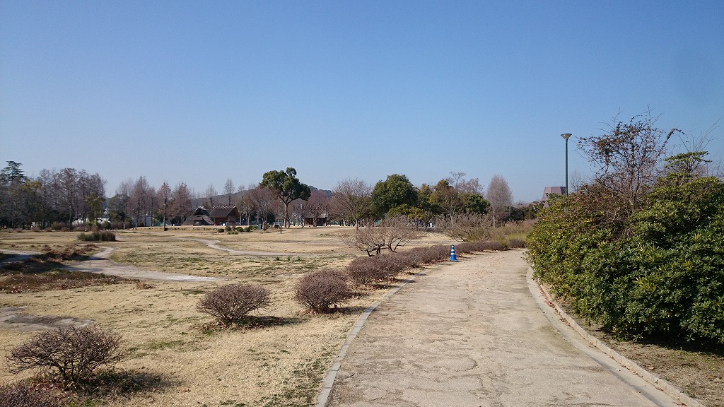 f:id:savarun:20200126161159j:plain