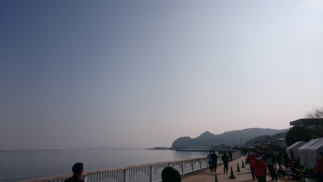 f:id:savarun:20200203220228j:plain f:id:savarun:20200203220228j:plain