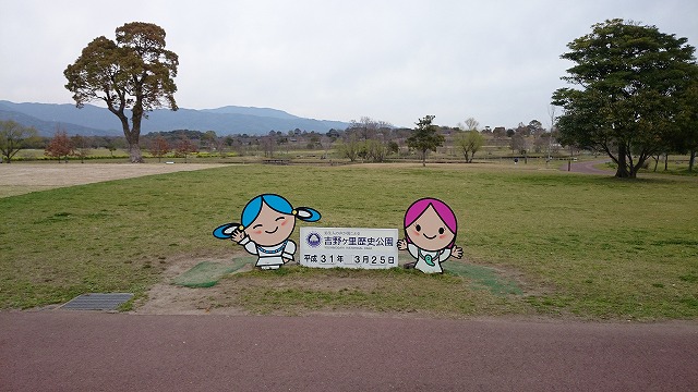 f:id:savarun:20200223235732j:plain