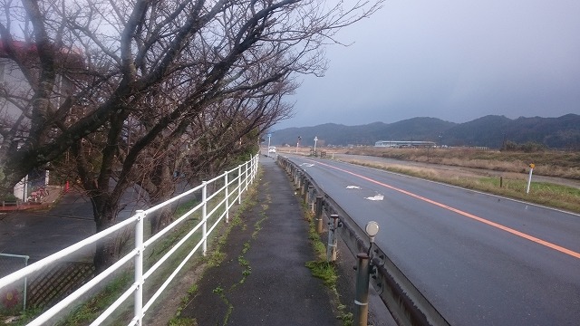 f:id:savarun:20200319201114j:plain
