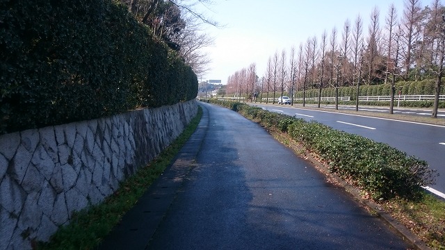 f:id:savarun:20200319201130j:plain