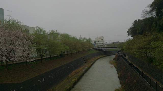f:id:savarun:20200409220451j:plain f:id:savarun:20200409220451j:plain
