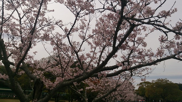 f:id:savarun:20200410224331j:plain f:id:savarun:20200410224331j:plain