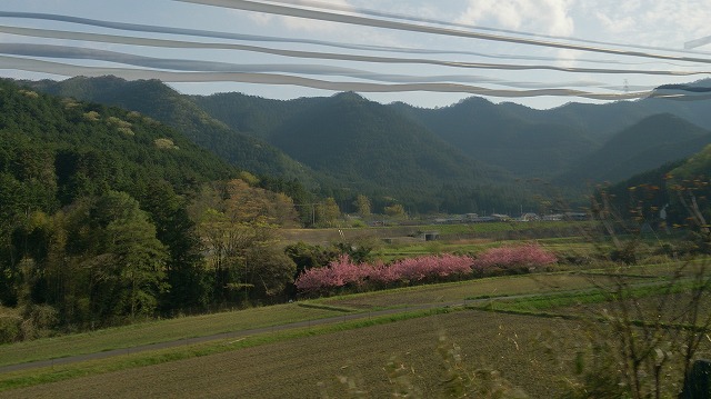 f:id:savarun:20200416222219j:plain f:id:savarun:20200416222219j:plain
