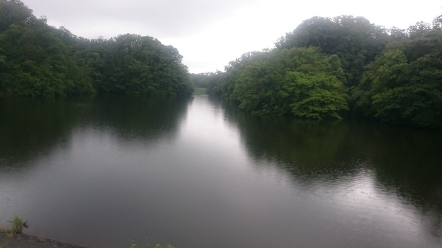 f:id:savarun:20200726215437j:plain