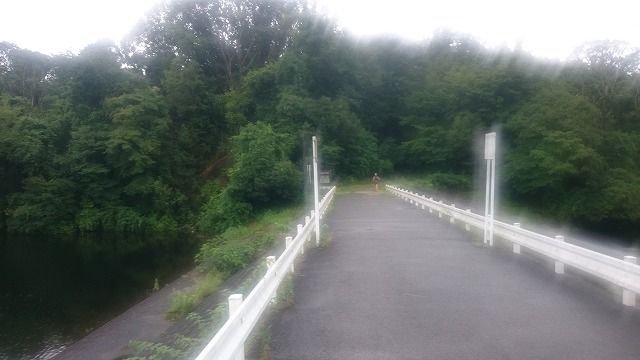 f:id:savarun:20200726215442j:plain