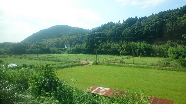 f:id:savarun:20200901182332j:plain f:id:savarun:20200901182332j:plain