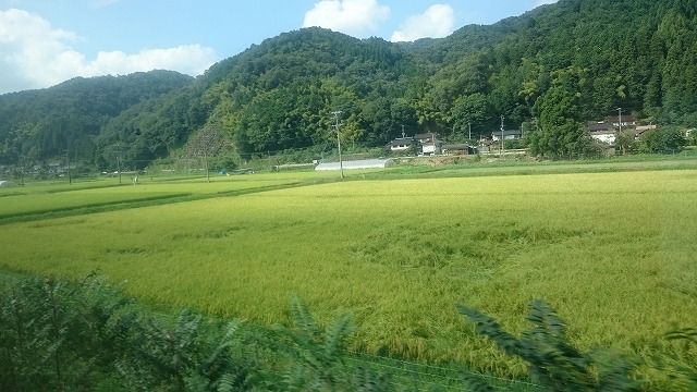 f:id:savarun:20200901182335j:plain f:id:savarun:20200901182335j:plain