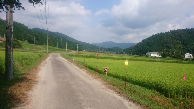 f:id:savarun:20200901190426j:plain