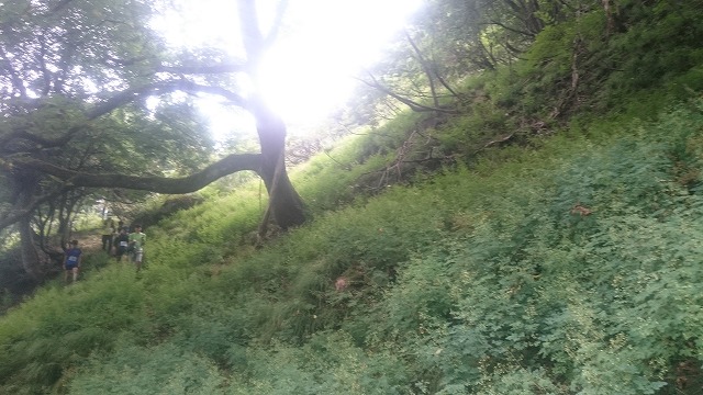 f:id:savarun:20200901190445j:plain