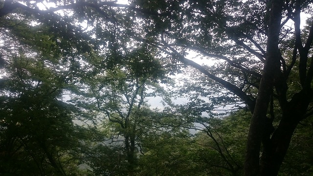 f:id:savarun:20200901190451j:plain
