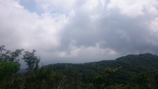 f:id:savarun:20200902191807j:plain