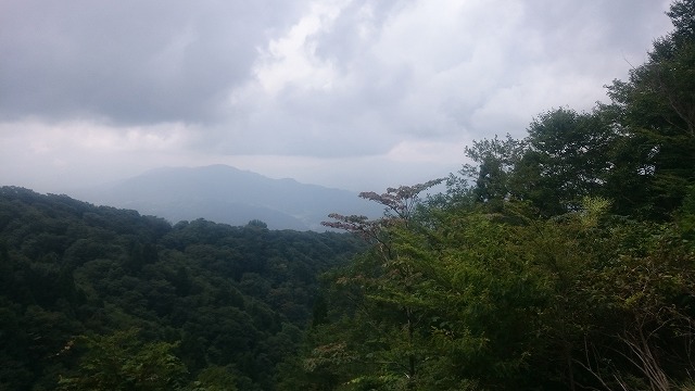 f:id:savarun:20200902191855j:plain