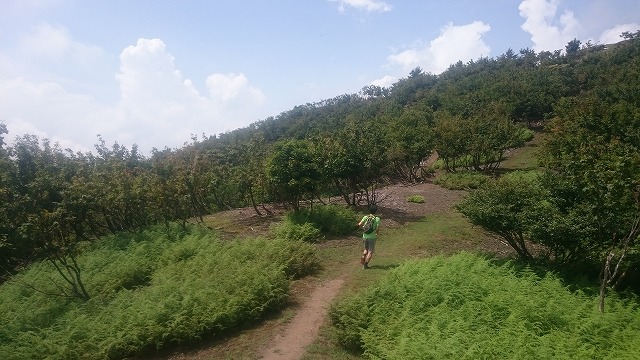 f:id:savarun:20200902191917j:plain