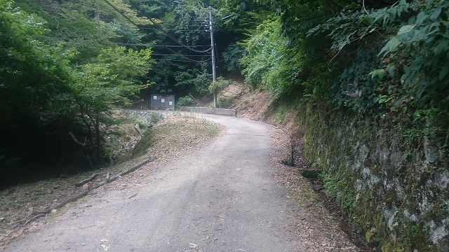 f:id:savarun:20200903215416j:plain