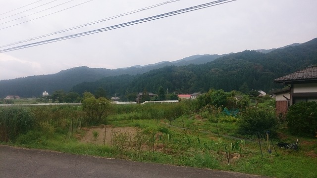 f:id:savarun:20200903221004j:plain
