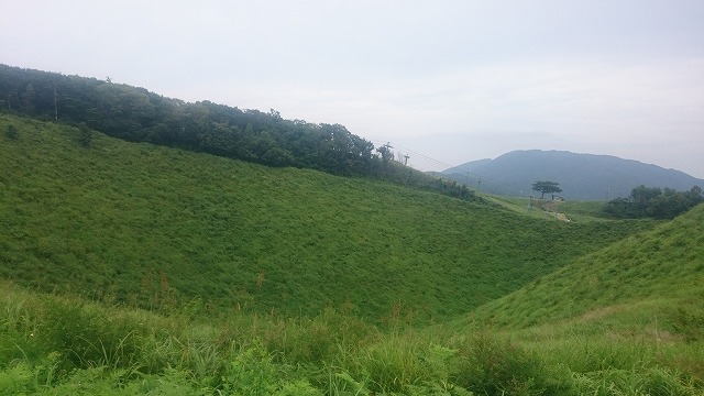 f:id:savarun:20200903221831j:plain