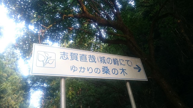 f:id:savarun:20200903231249j:plain