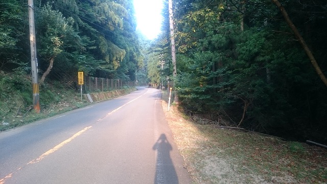 f:id:savarun:20200903231501j:plain