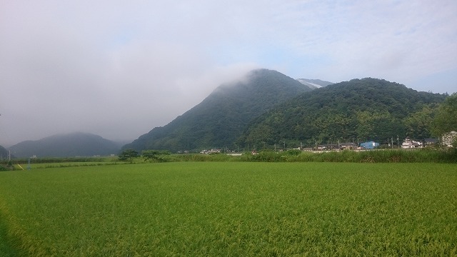 f:id:savarun:20200905115511j:plain