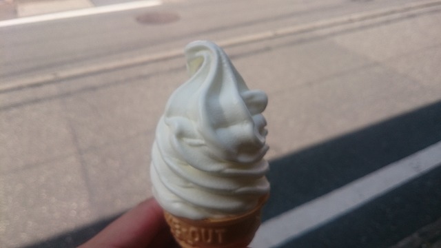 f:id:savarun:20200905124951j:plain