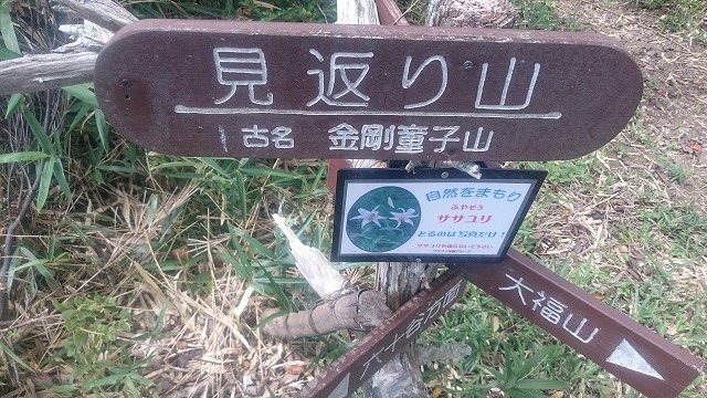 f:id:savarun:20200907221016j:plain