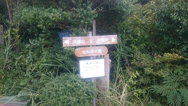 f:id:savarun:20200907222130j:plain