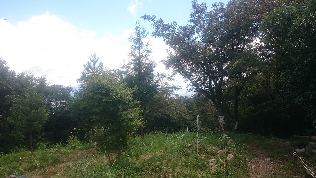 f:id:savarun:20200907223330j:plain