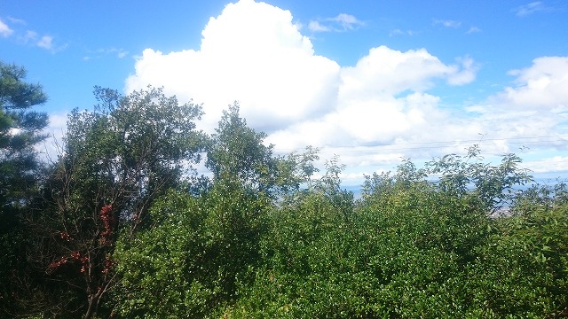f:id:savarun:20200907223652j:plain