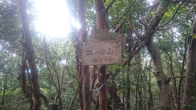 f:id:savarun:20200908165510j:plain