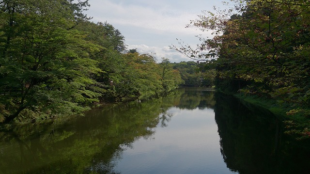 f:id:savarun:20201004183815j:plain f:id:savarun:20201004183815j:plain