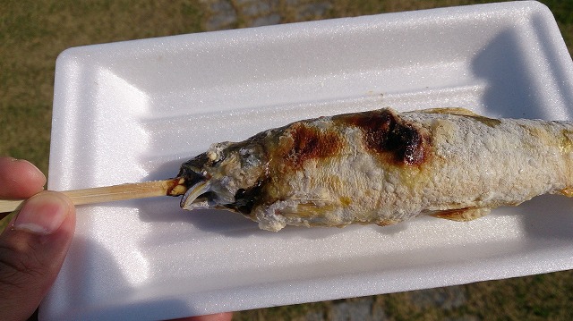 f:id:savarun:20201010155044j:plain f:id:savarun:20201010155044j:plain