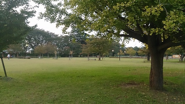 f:id:savarun:20201010162930j:plain f:id:savarun:20201010162930j:plain