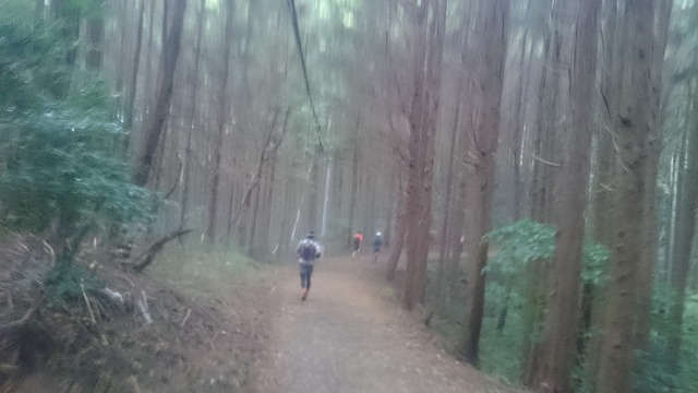 f:id:savarun:20201113193854j:plain f:id:savarun:20201113193854j:plain