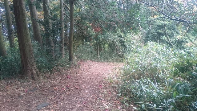 f:id:savarun:20201113194200j:plain f:id:savarun:20201113194200j:plain
