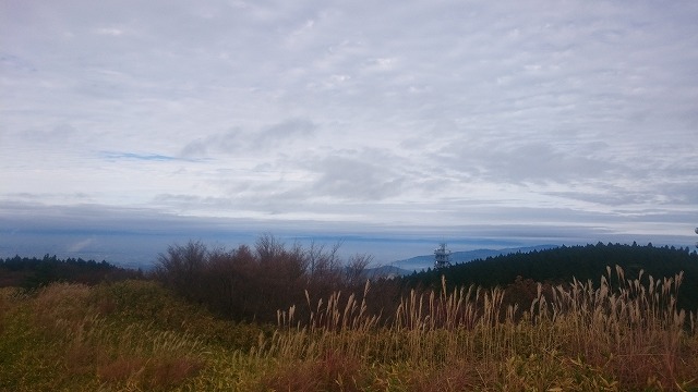f:id:savarun:20201113194610j:plain f:id:savarun:20201113194610j:plain