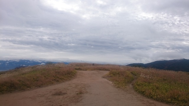 f:id:savarun:20201113194616j:plain f:id:savarun:20201113194616j:plain