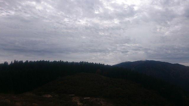 f:id:savarun:20201113194921j:plain f:id:savarun:20201113194921j:plain
